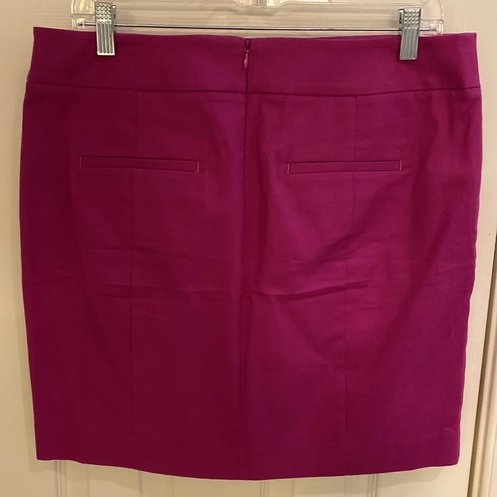 Ann Taylor Madison skirt size 10​